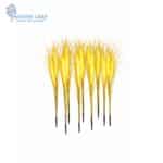 WhatsApp Image 2025-12-28 at 3.59.37 PM