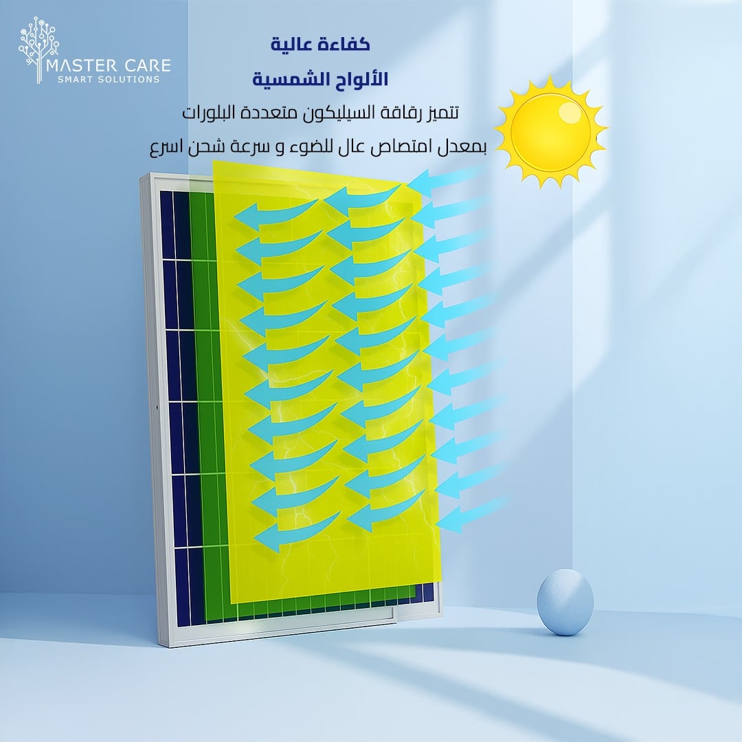 WhatsApp Image 2025-12-10 at 3.55.24 PM